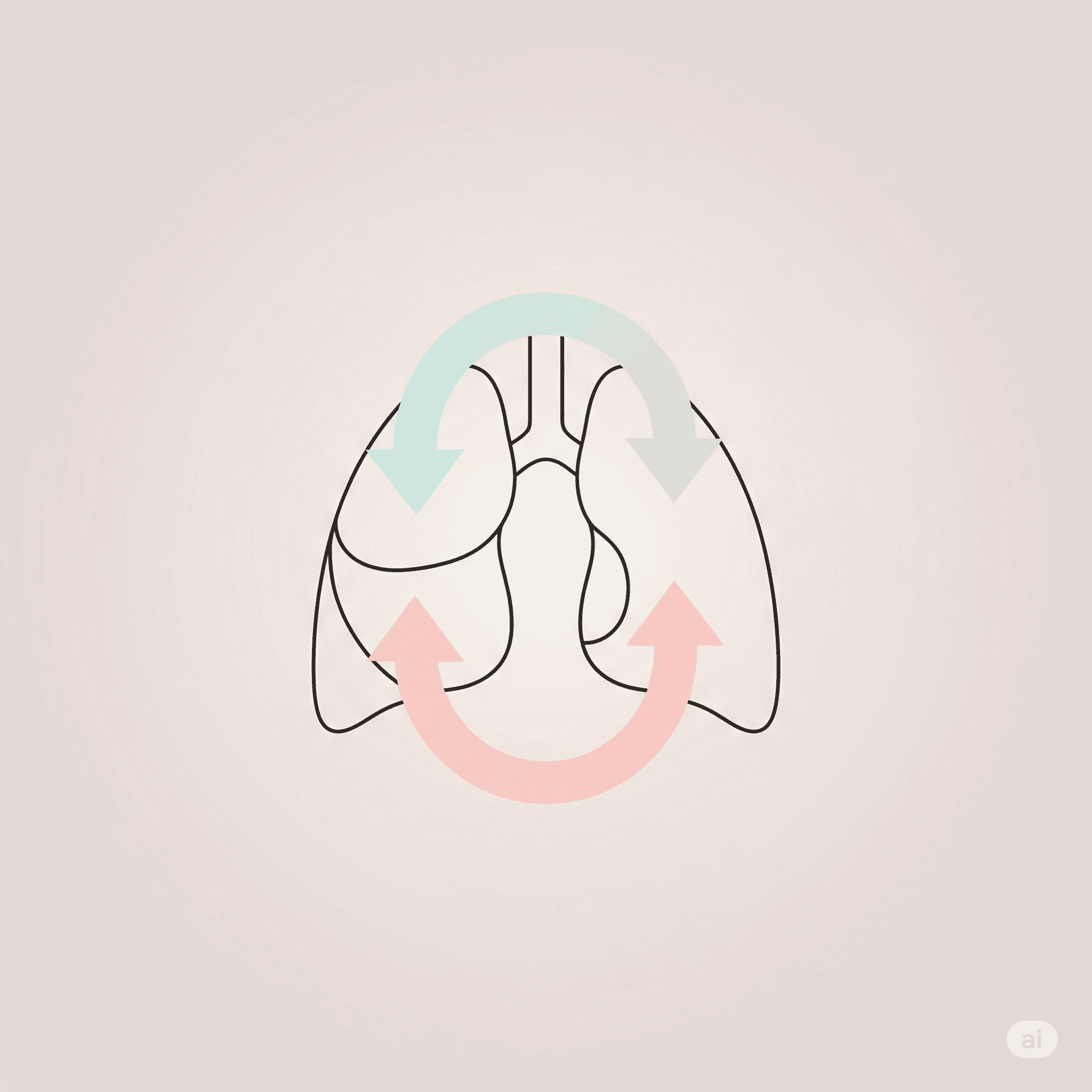 Una ilustración simple de pulmones estilizados. Flechas suaves de color pastel muestran un ciclo lento y circular de inhalación y exhalación.